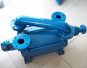 2SK Water Ring Vacuum Pump