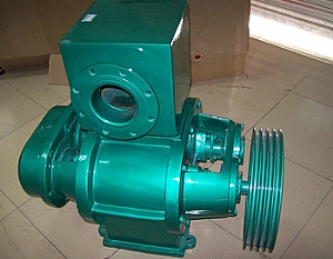 ZBK Roots Vacuum Pump