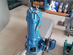 WQAS series non-clogging cutting submersible sewage pump